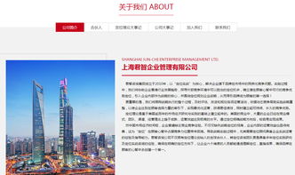 君智 沙漠風(fēng) 深圳網(wǎng)站建設(shè) 沙漠風(fēng)網(wǎng)站建設(shè)公司