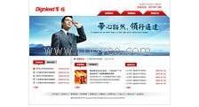 深圳網絡公司,制作網站公司