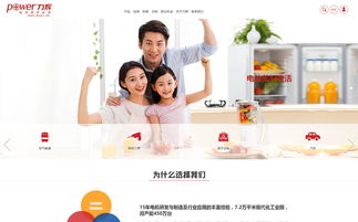 力輝電機中文版官方網(wǎng)站設計制作 成功案例 沙漠風網(wǎng)站建設公司